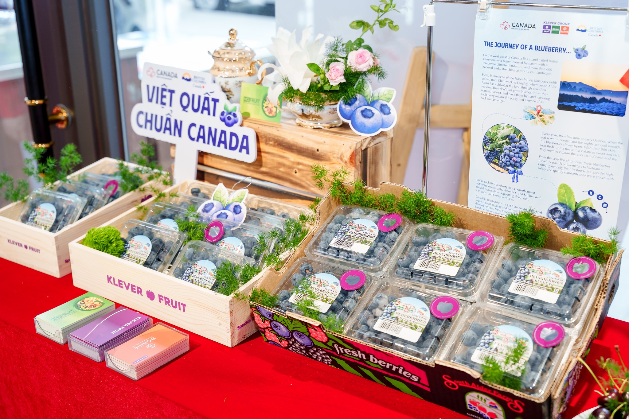 le-ra-mat-mua-viet-quat-canada-2025-ha-noi